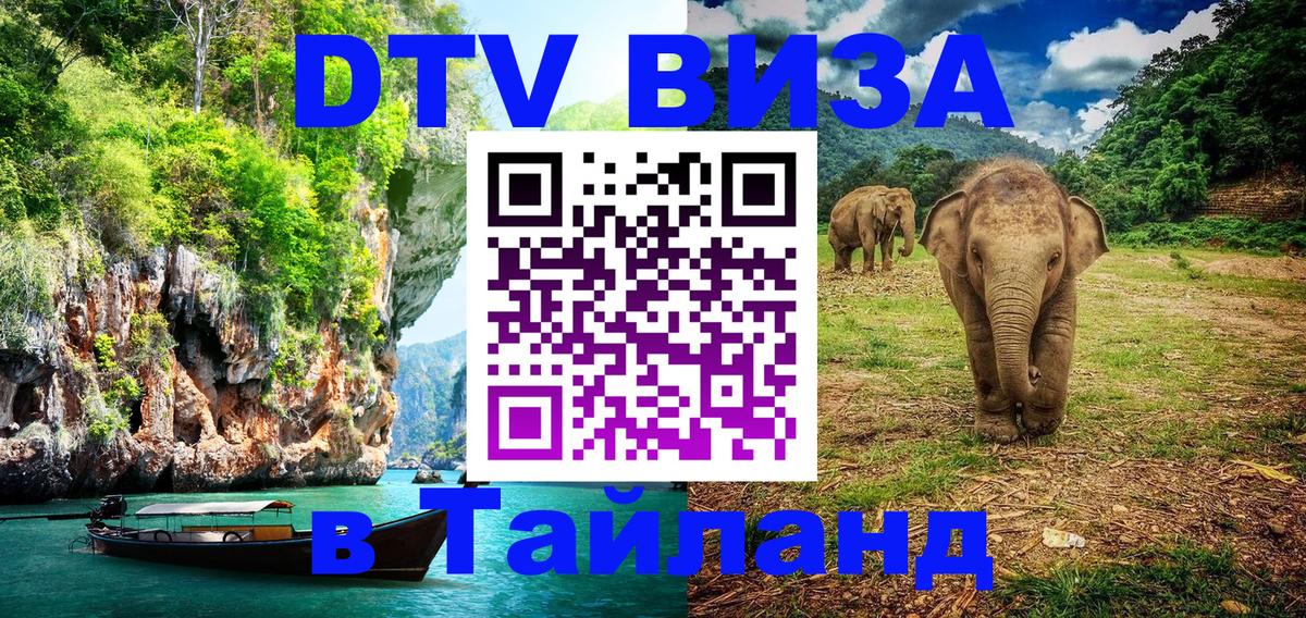 Оформление DTV визы под ключ: стоимость и тарифы, только загранпаспорт - 20.11.2025 